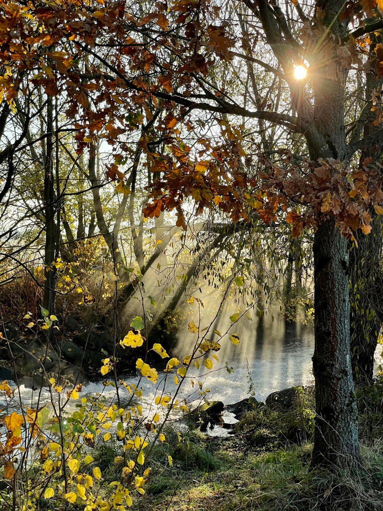 Natur
